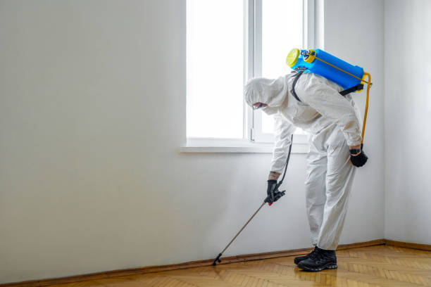 Best Affordable Pest Control Services  in Warrensburg, IL