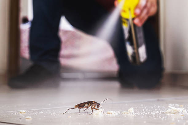 Best Residential Pest Control  in Warrensburg, IL
