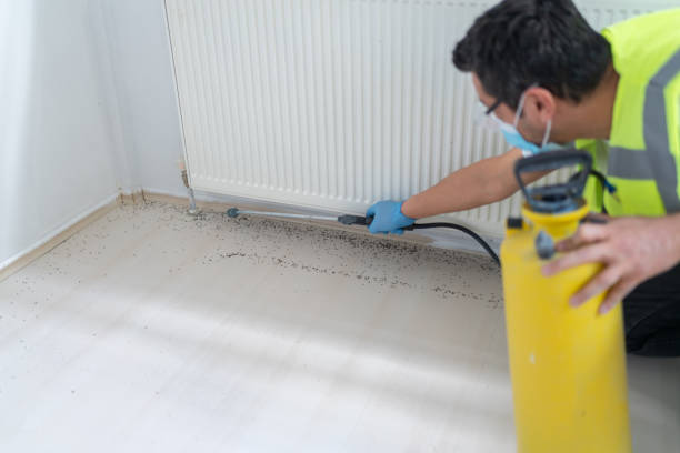 Best Local Pest Control Services  in Warrensburg, IL